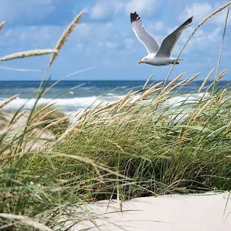 In Het Zoute With Sea Views Knokke-Heist