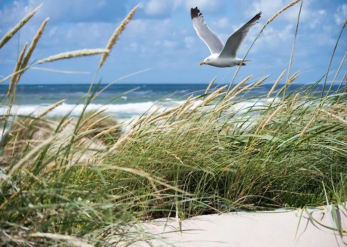 Appartement In Het Zoute With Sea Views *